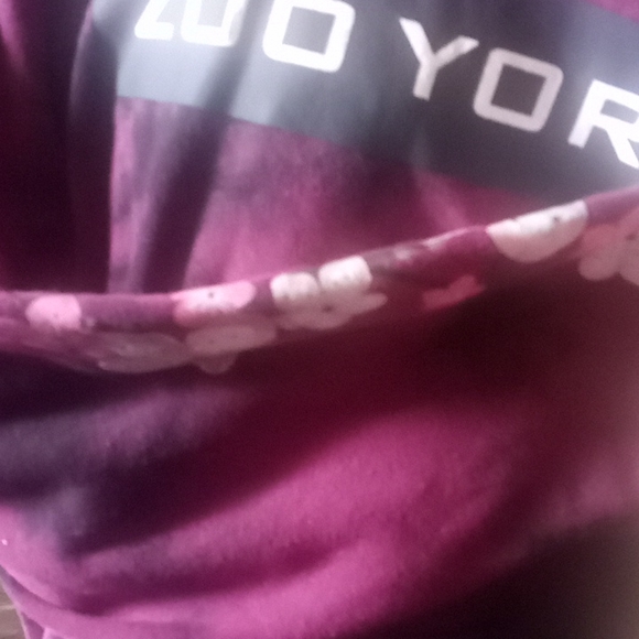 Hoodies - Picture 2 of 8